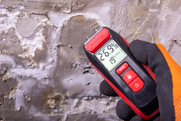 Best Certified Mold Removal  in Tangelo Park, FL